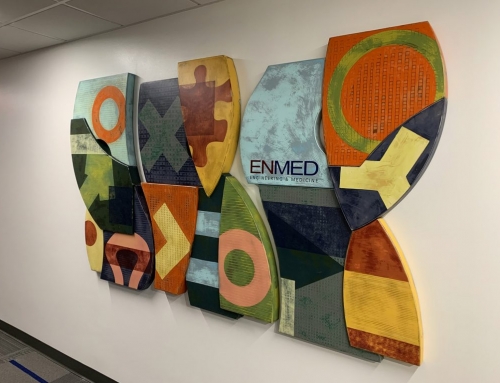 Houston Methodist Hospital EnMed Program